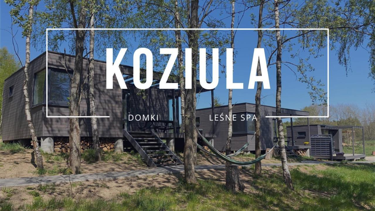 Koziula - Domki I Lesne Spa Na Kaszubach Przywidz  Exterior photo
